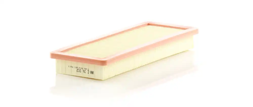 Express Levering Luchtfilter Mann-Filter C 36 002