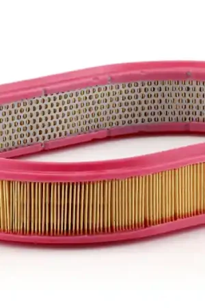 Favoriet Luchtfilter Mann-Filter C 3975\\/1