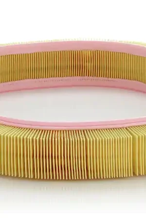 Wereldwijde Verzending Luchtfilter Mann-Filter C 41 121