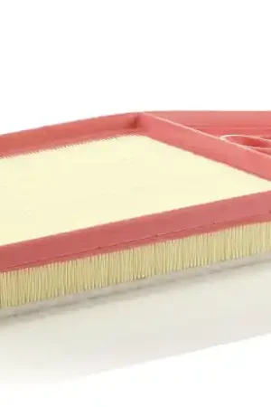 Bulkbestelling Luchtfilter Mann-Filter C 4287\\/1