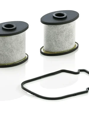 Carter ontluchtingsfilters Mann-Filter C 911 x-2 Trendy