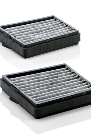 Ambachtelijk Interieurfilter Mann-Filter CUK 20 000-2