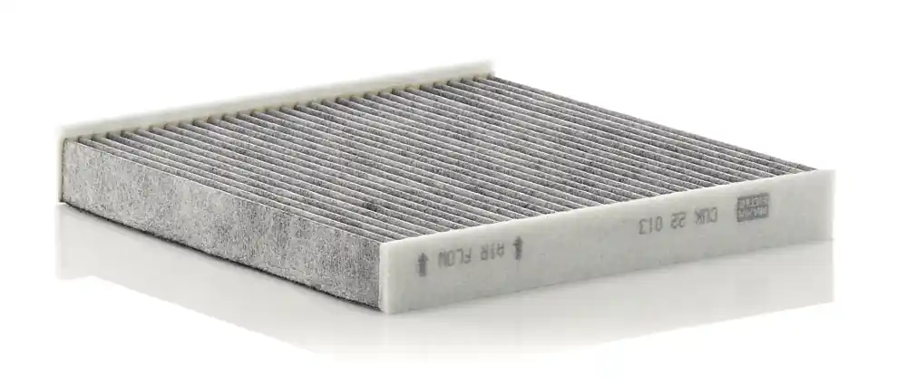 Professioneel Interieurfilter Mann-Filter CUK 22 013