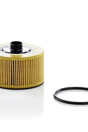 Oliefilter Mann-Filter HU 10 002 z Gratis Verzending