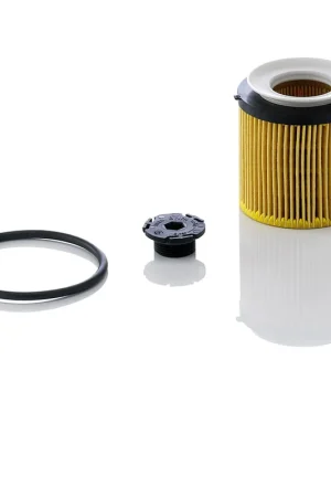 Veilige Betaling Oliefilter Mann-Filter HU 8002 x KIT