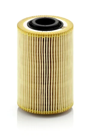 Direct Verzonden Oliefilter Mann-Filter HU 924\\/2 x